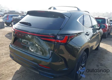 2024 Lexus Nx 250 from USA, damaged, VIN 2T2ADCAZ1RC012020